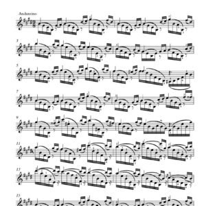 Etudes no. 6-10  G. Regondi download
