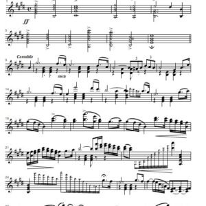 Serenade Op. 8  PDF Download